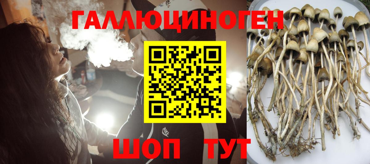 Псилоцибиновые грибы GOLDEN TEACHER  Вход с VPN  Бийск 
